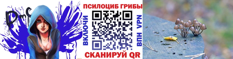 даркнет сайт  Юрьевец  Галлюциногенные грибы прущие грибы 