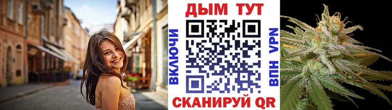 МЕГА ТОР  Юрьевец  МАРИХУАНА планчик 